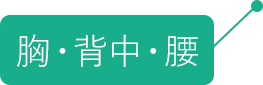 胸・背中・腰の症状についてはこちらをクリック